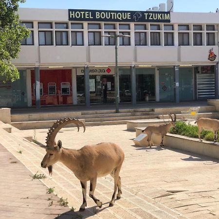 Tzukim Desert Traveler'S Hotel - מלון צוקים Micpe Ramon Zewnętrze zdjęcie